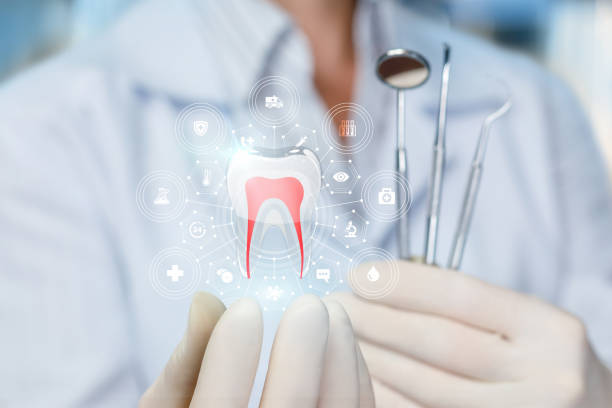 Professional Dental Services in Lake Barcroft, VA